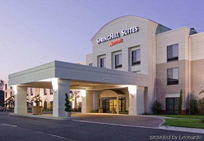 Springhill Suites By Marriott Corpus Christi Luaran gambar